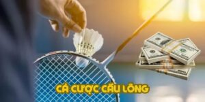 Cá Cược Cầu Lông VANDO88 tỷ lệ hoàn trả cực kỳ cạnh tranh